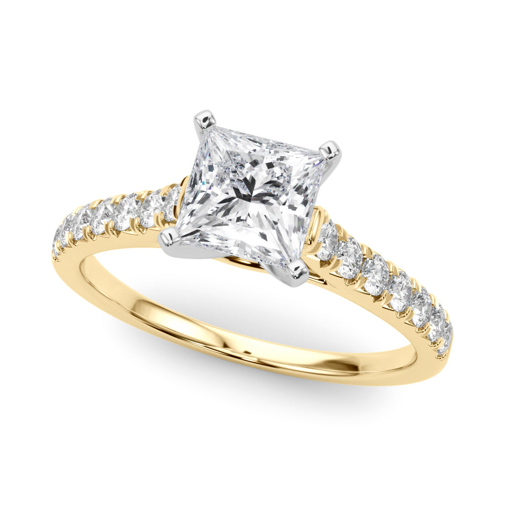 Princess Traditional Cathedral 4-Prong Setting