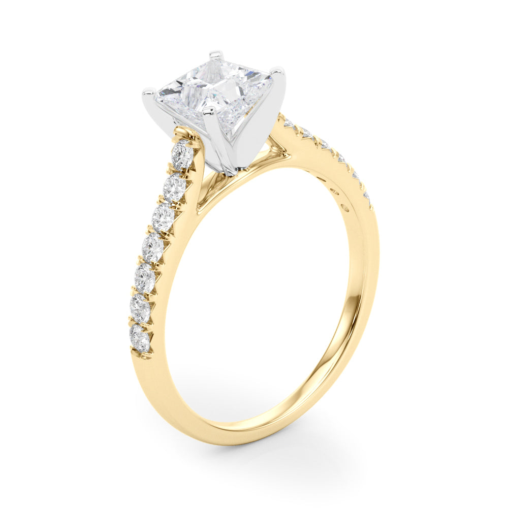 Princess Traditional Cathedral 4-Prong Setting
