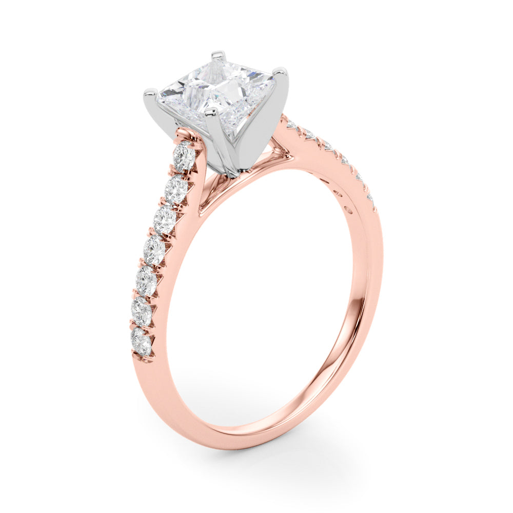 Princess Traditional Cathedral 4-Prong Setting