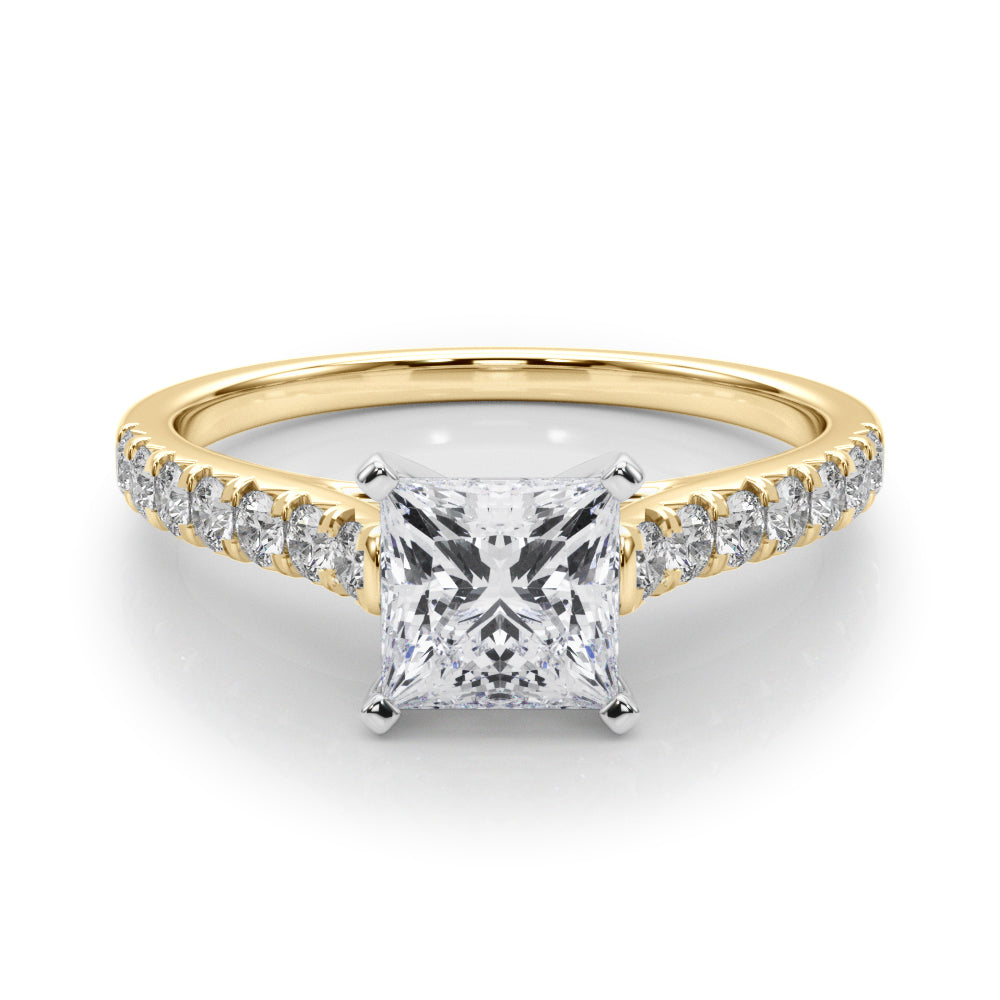 Princess Traditional Cathedral 4-Prong Setting
