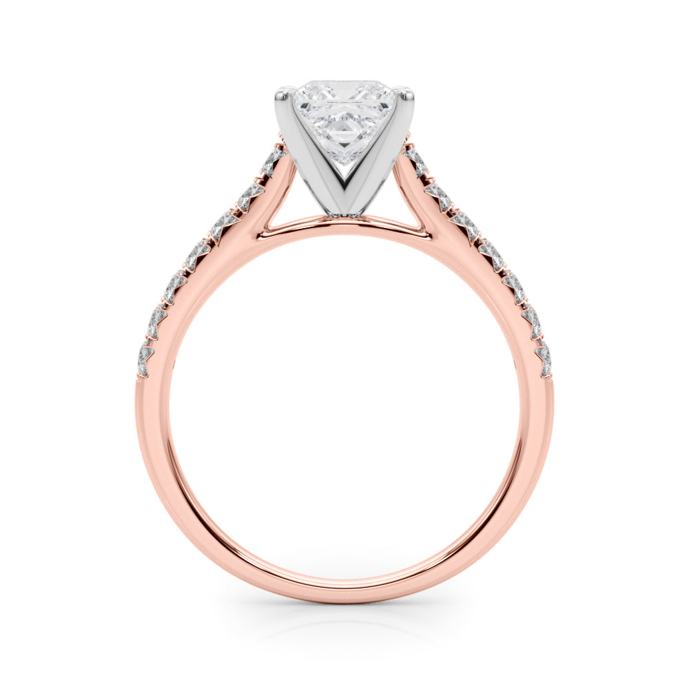 Princess Traditional Cathedral 4-Prong Setting