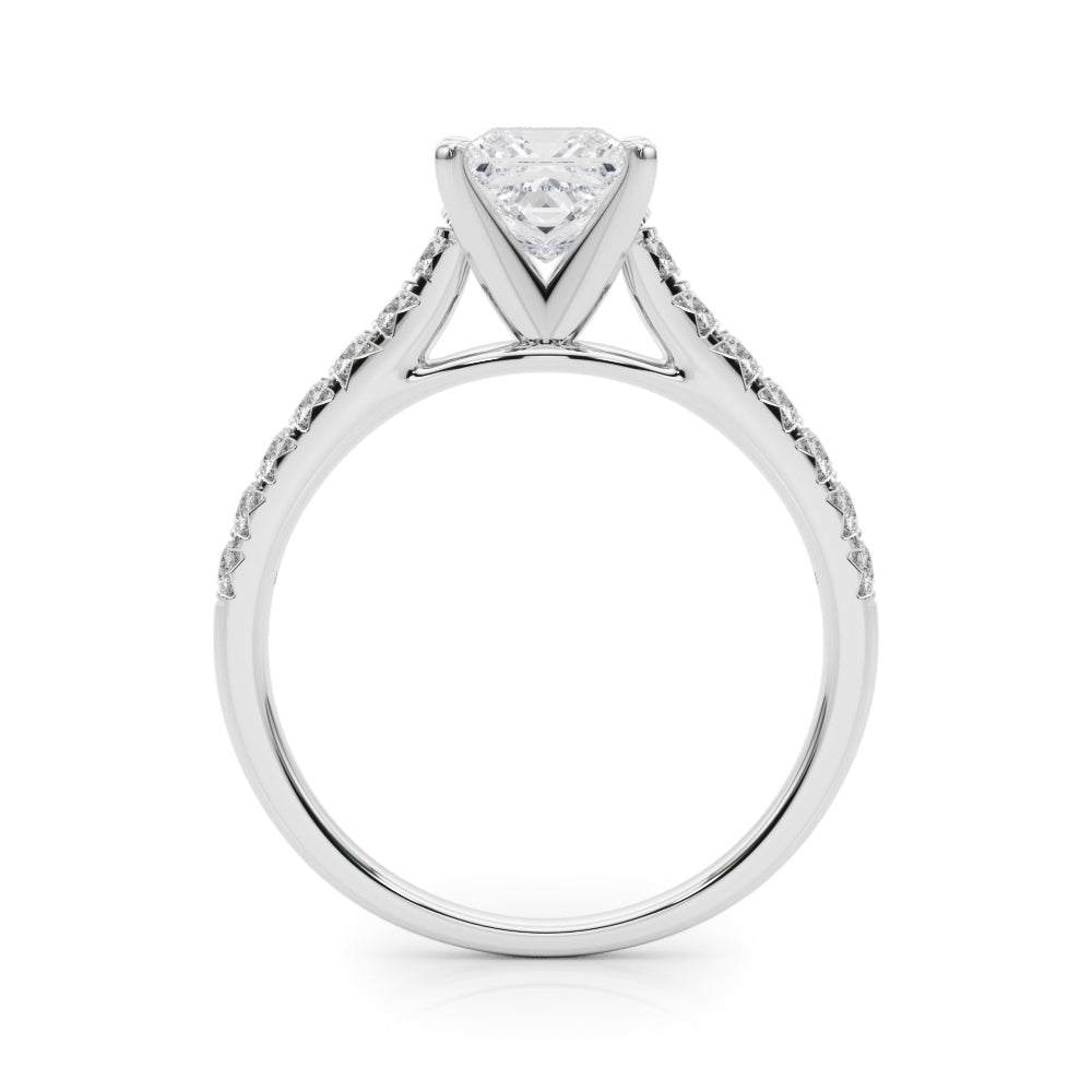 Princess Traditional Cathedral 4-Prong Setting