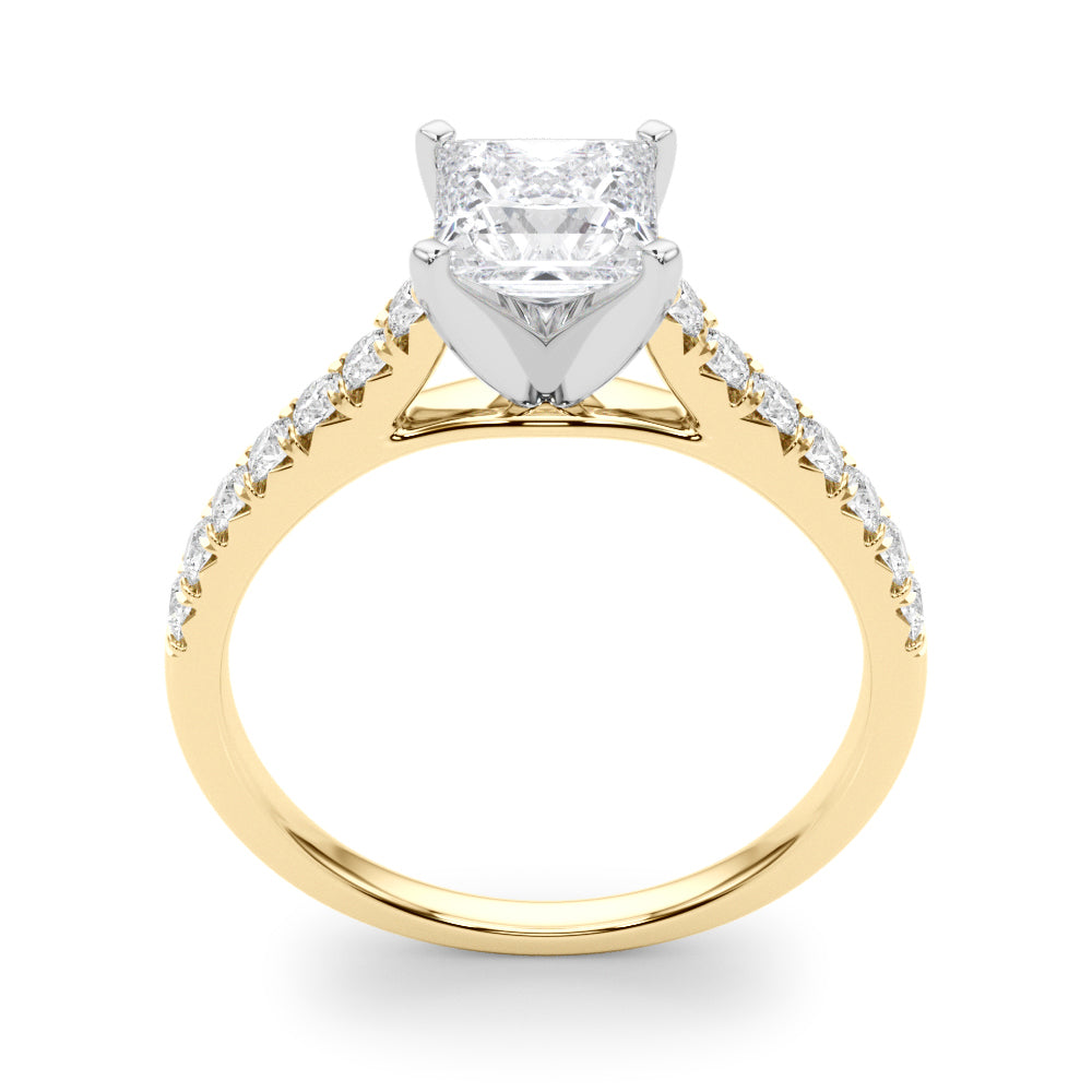 Princess Traditional Cathedral 4-Prong Setting