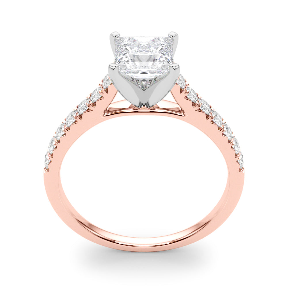 Princess Traditional Cathedral 4-Prong Setting