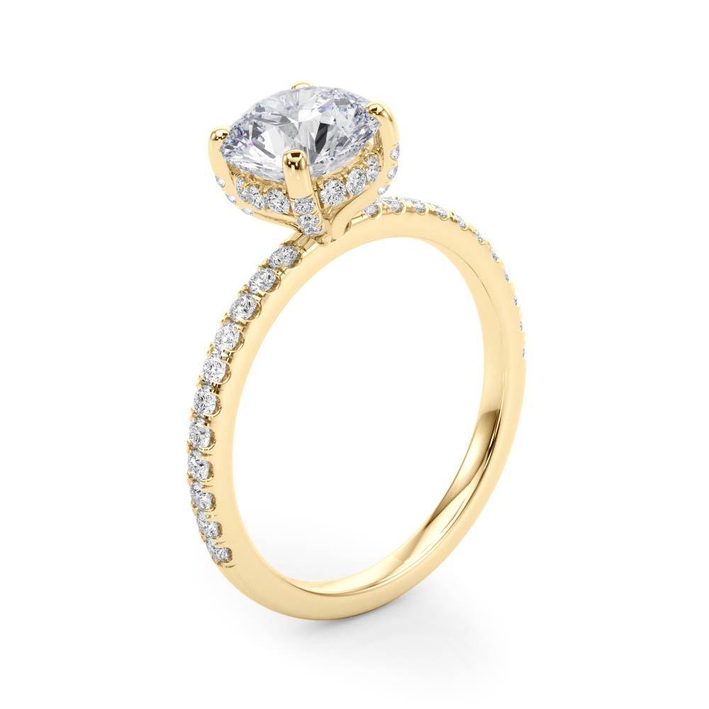 Round Elegant Traditional Hidden Halo Setting