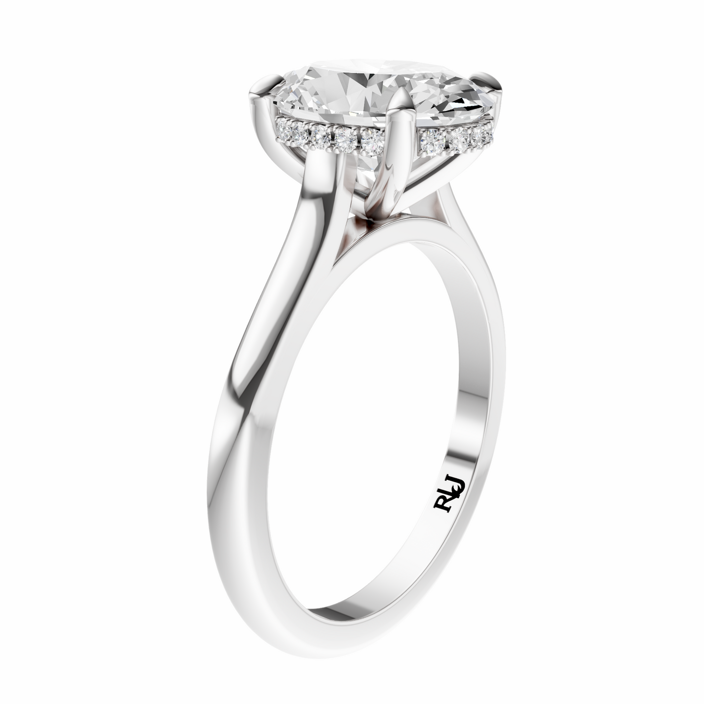 Oval Cathedral Elegant Signature Hidden Halo Setting