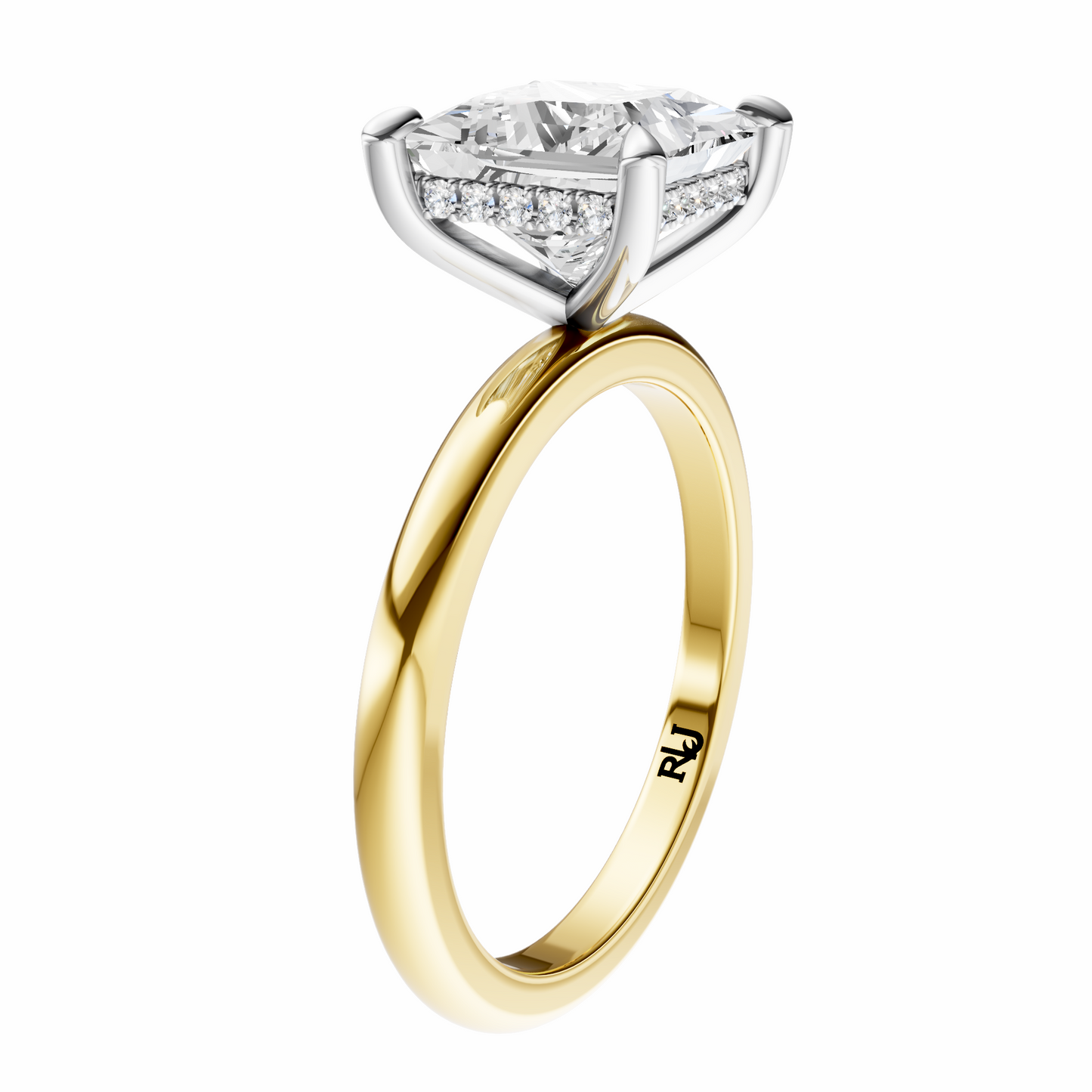 Princess Mixed Metal Hidden Halo Solitaire Setting
