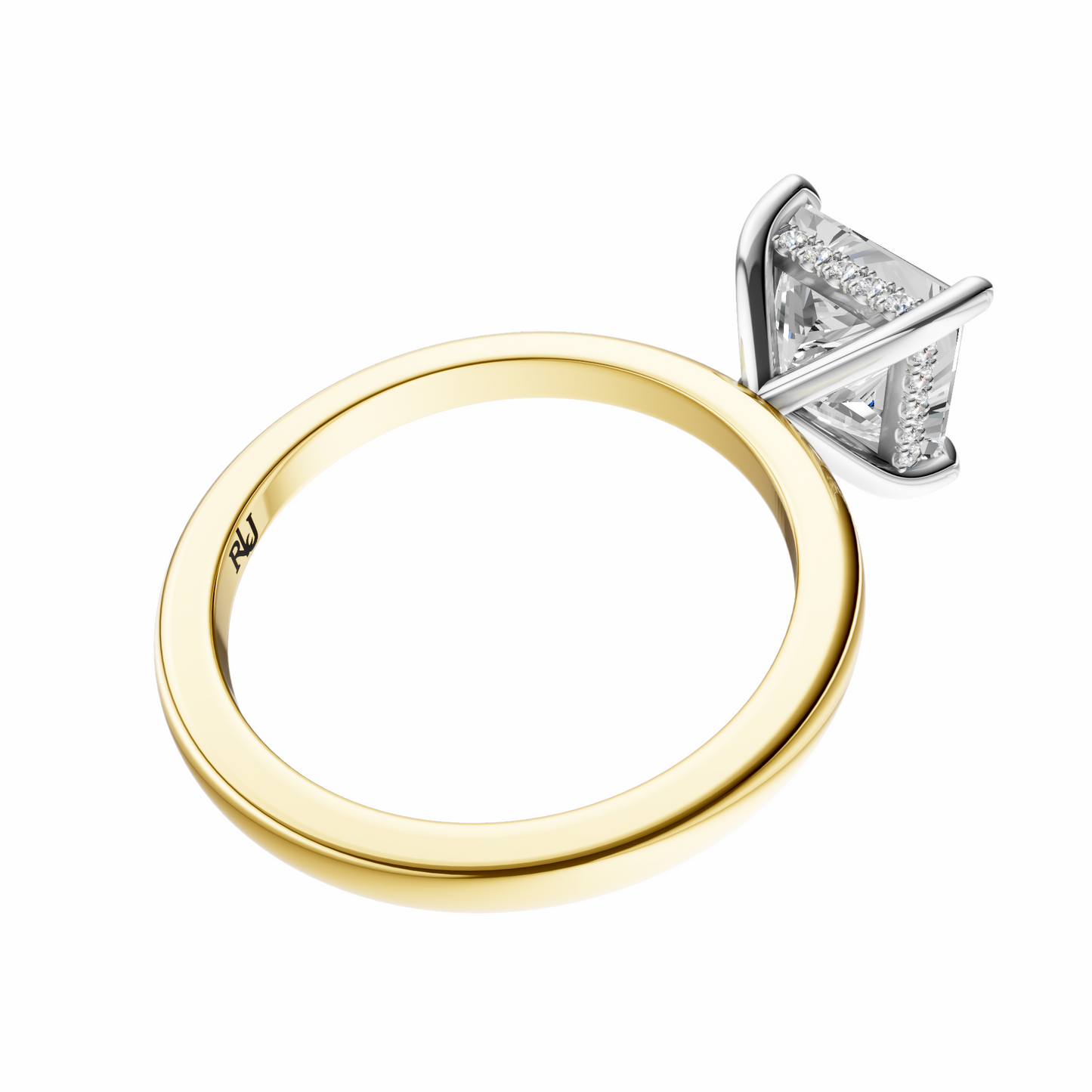 Princess Mixed Metal Hidden Halo Solitaire Setting