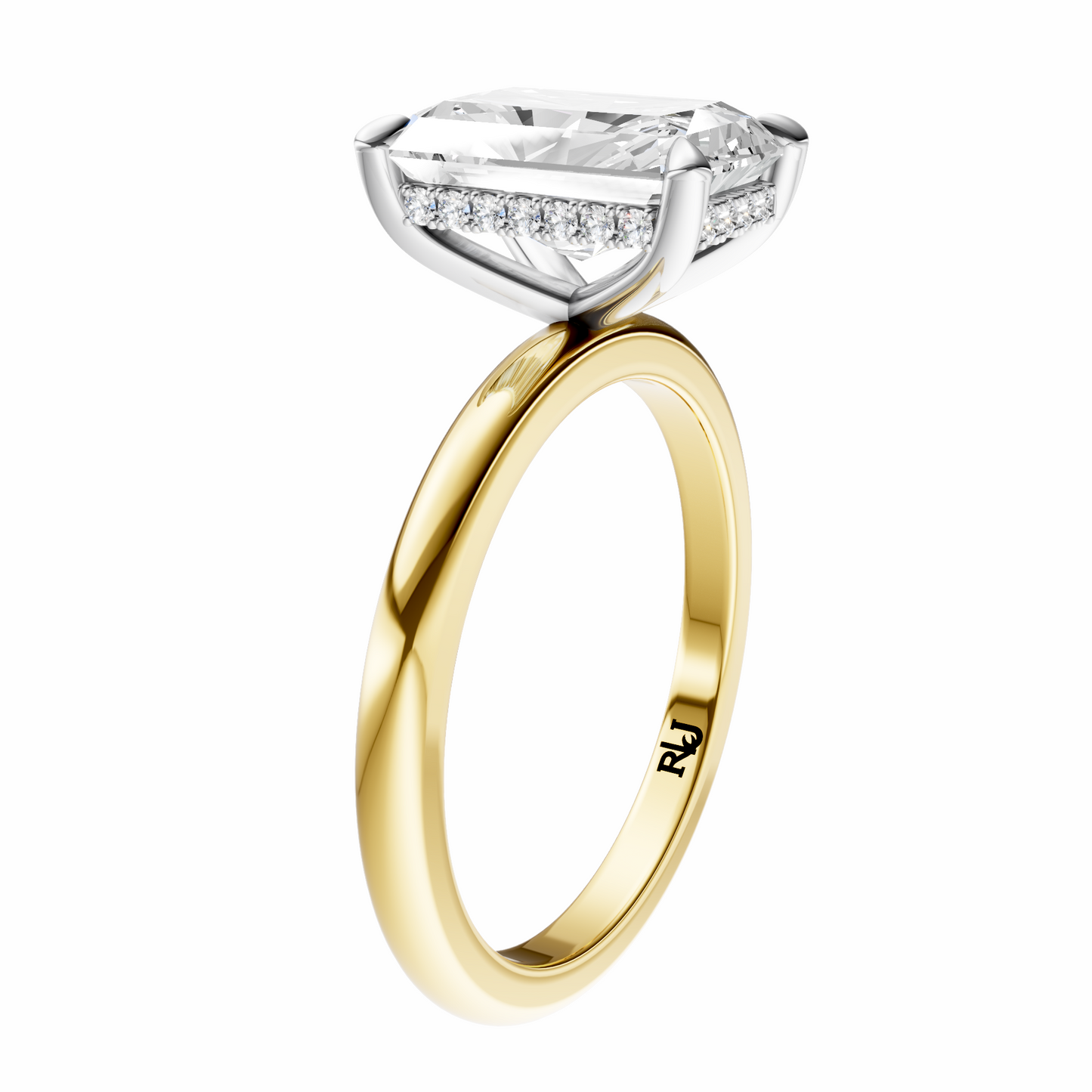 Radiant Mixed Metal Hidden Halo Solitaire Setting