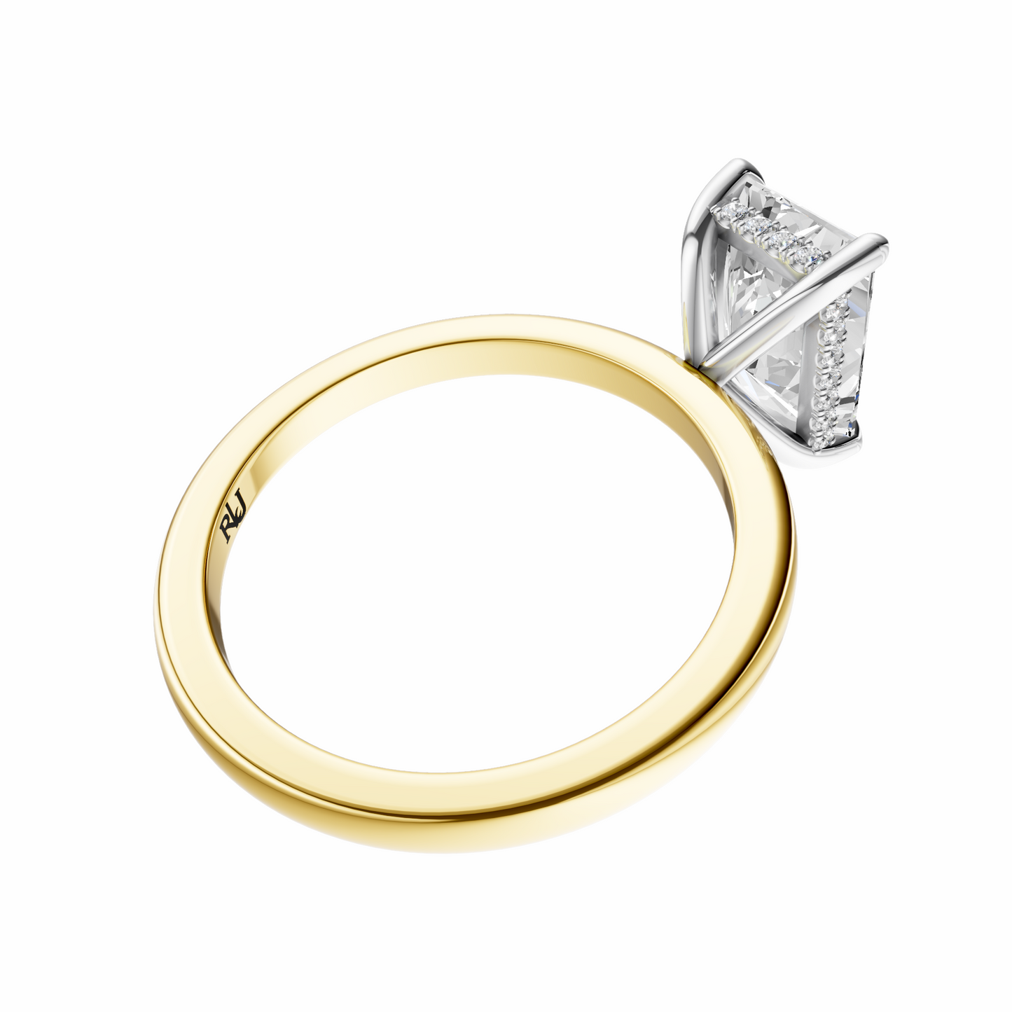 Radiant Mixed Metal Hidden Halo Solitaire Setting