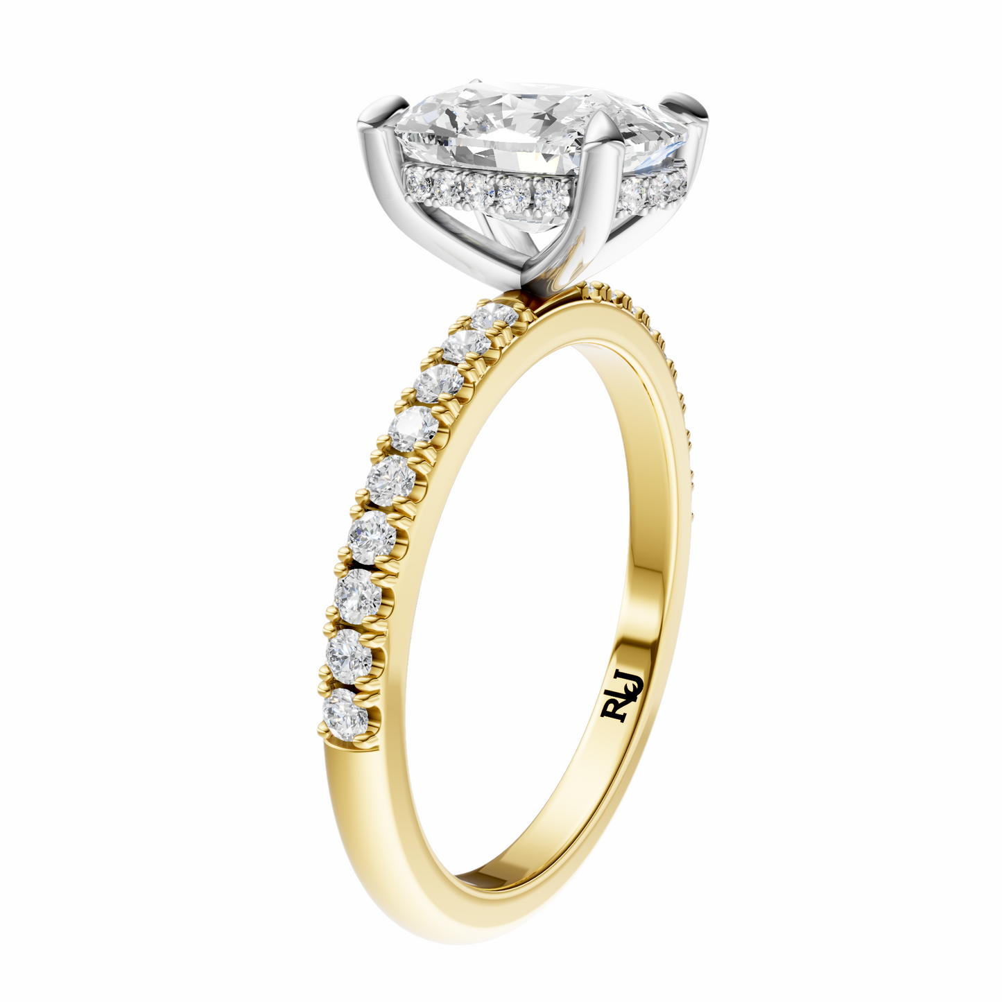 Cushion Mixed Metal Traditional Elegance Hidden Halo Setting