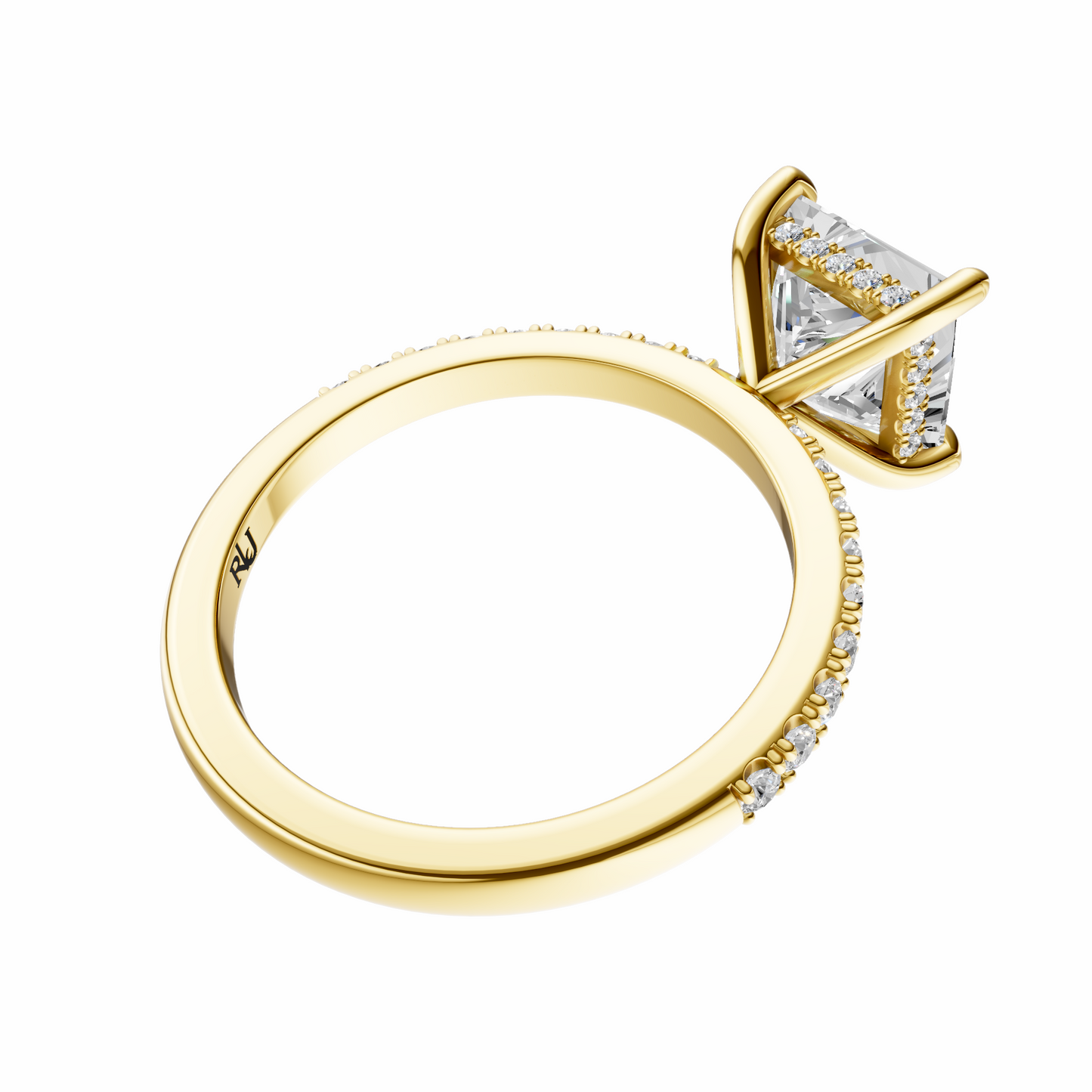 Princess Traditional Elegance Hidden Halo Setting