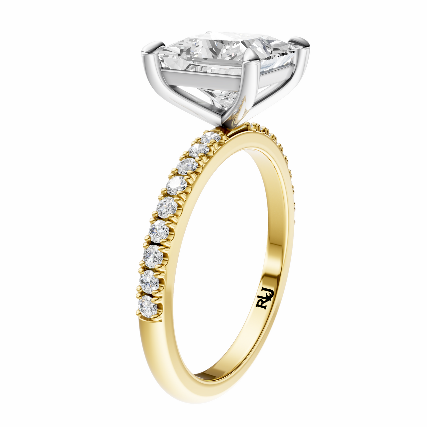 Princess Mixed Metal Traditional Elegance Setting