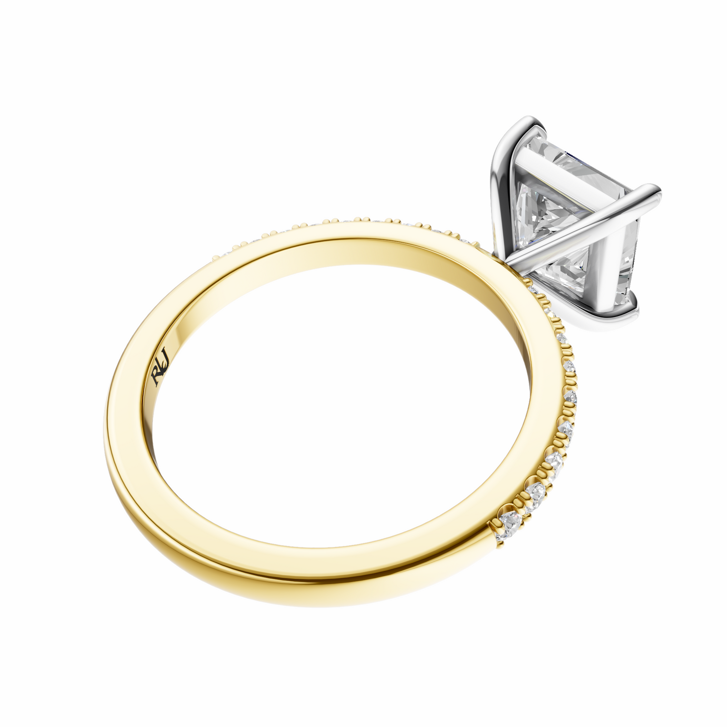 Princess Mixed Metal Traditional Elegance Setting