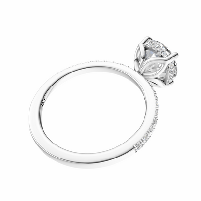 Round Traditional Tulip Hidden Halo Setting