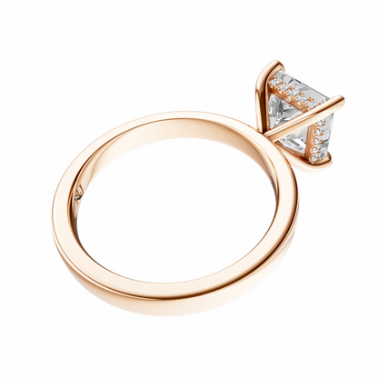 Princess Elegant 2.7mm Band Signature Hidden Halo Setting