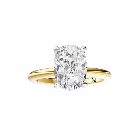 Cushion Mixed Metal Hidden Halo Solitaire Setting