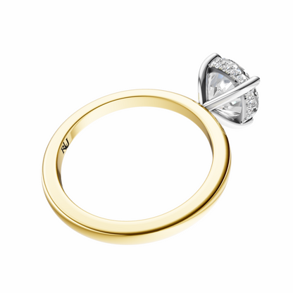 Round Mixed Metal Hidden Halo Solitaire Setting