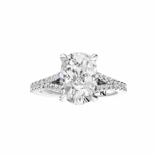 Cushion Traditional Split-Shank Cathedral Hidden Halo Setting