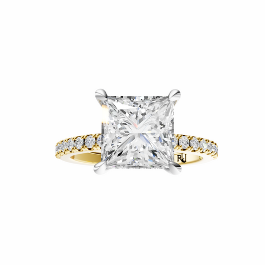 Princess Mixed Metal Traditional Elegance Hidden Halo Setting