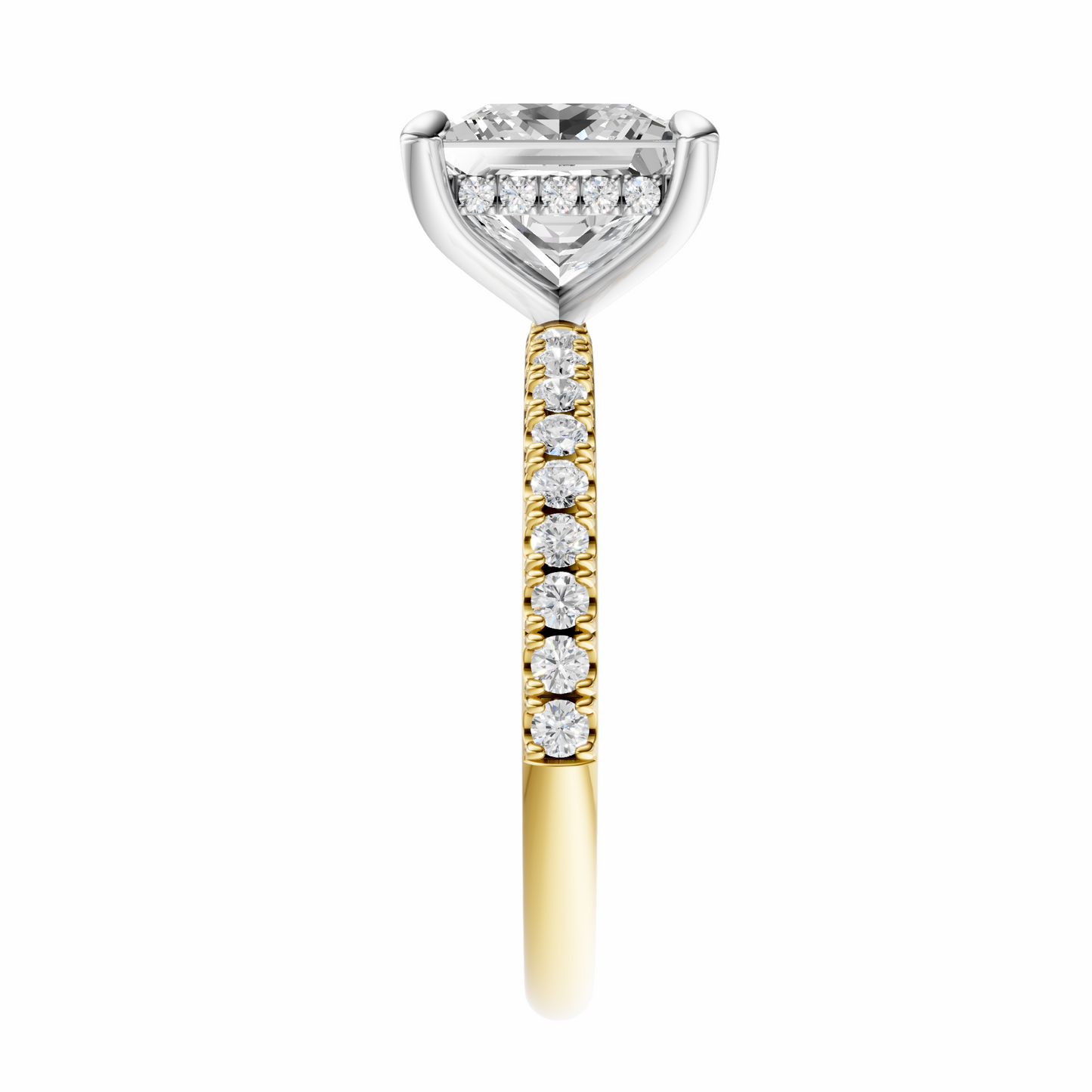 Princess Mixed Metal Traditional Elegance Hidden Halo Setting
