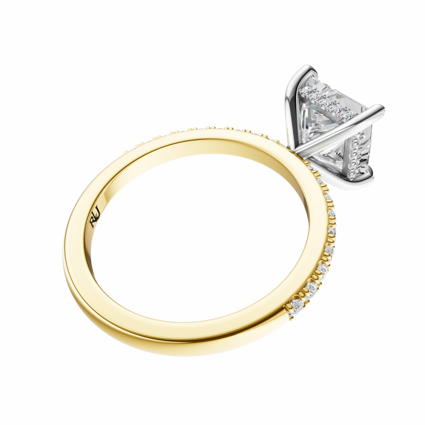 Princess Mixed Metal Traditional Elegance Hidden Halo Setting