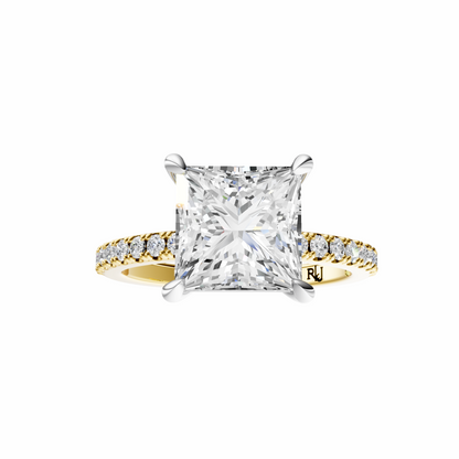 Princess Mixed Metal Traditional Elegance Setting