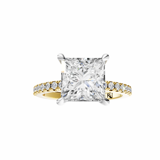 Princess Mixed Metal Traditional Elegance Setting