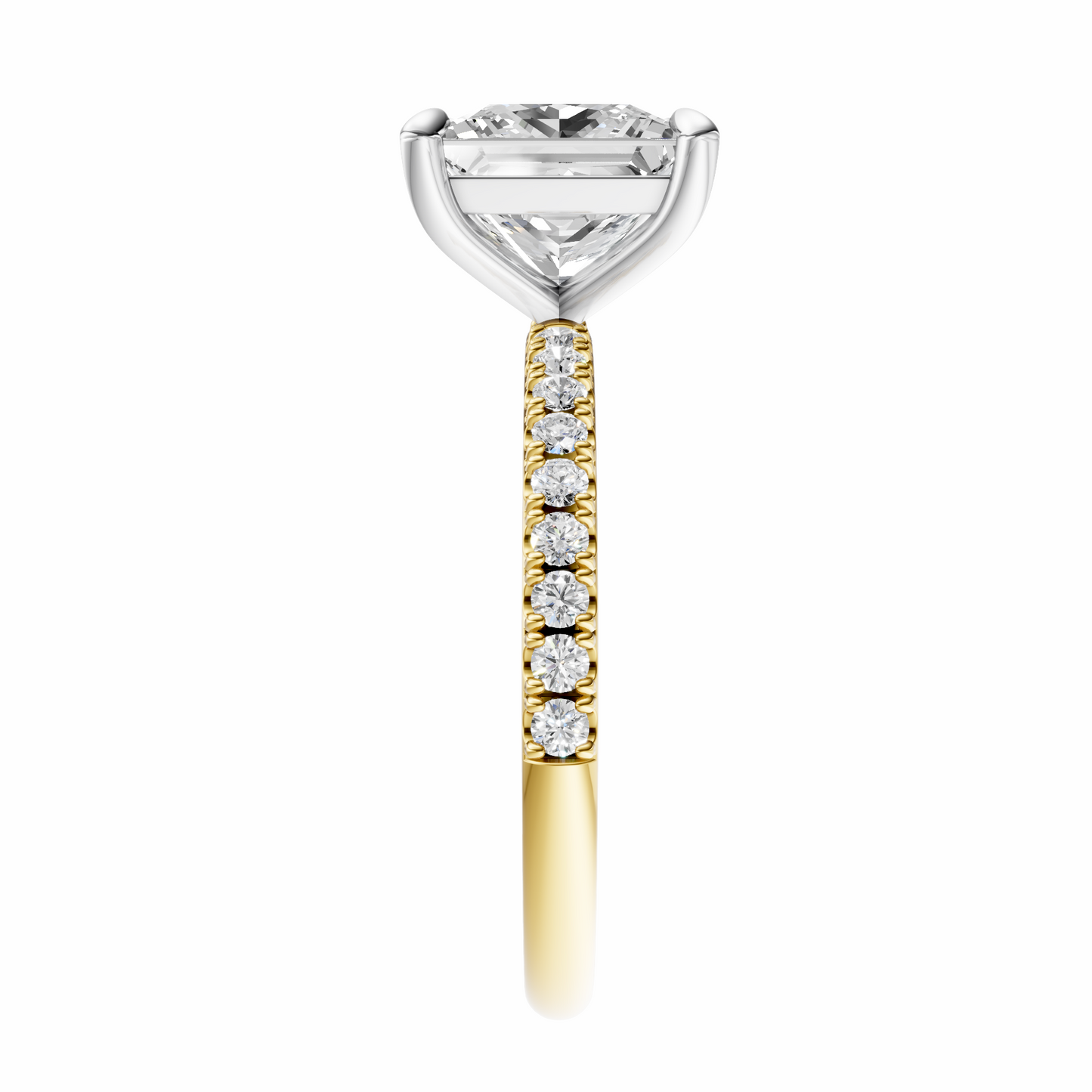 Princess Mixed Metal Traditional Elegance Setting