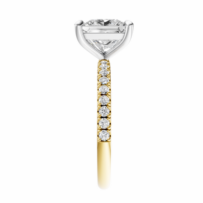 Princess Mixed Metal Traditional Elegance Setting