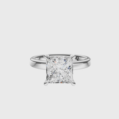 Princess Elegant 2.7mm Band Signature Hidden Halo Setting