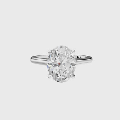 Oval Cathedral Elegant Signature Hidden Halo Setting