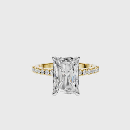 Radiant Mixed Metal Traditional Elegance Hidden Halo Setting