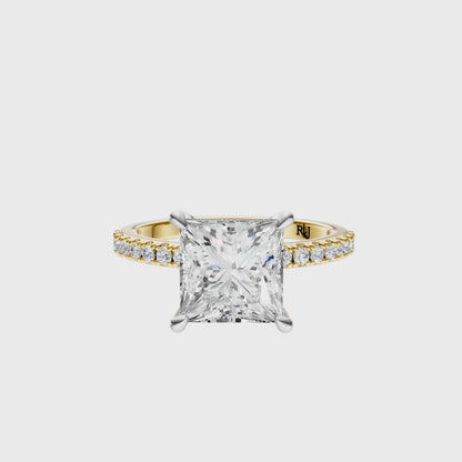 Princess Mixed Metal Traditional Elegance Setting