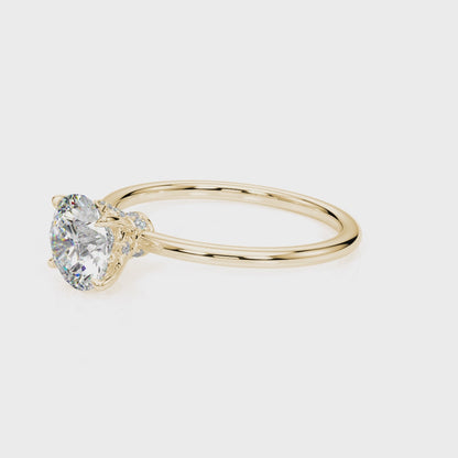 Round Accented Petite Hidden Halo Setting
