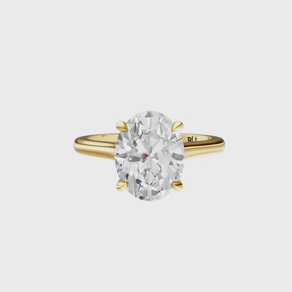 Oval Cathedral Elegant Signature Hidden Halo Setting