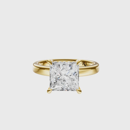 Princess Elegant 2.7mm Band Signature Hidden Halo Setting